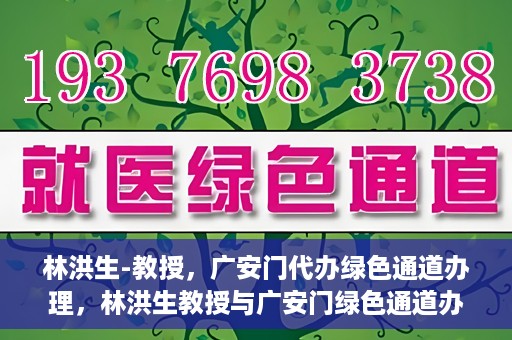 林洪生-教授，广安门代办绿色通道办理，林洪生教授与广安门绿色通道办理，专家解读与高效代办之道