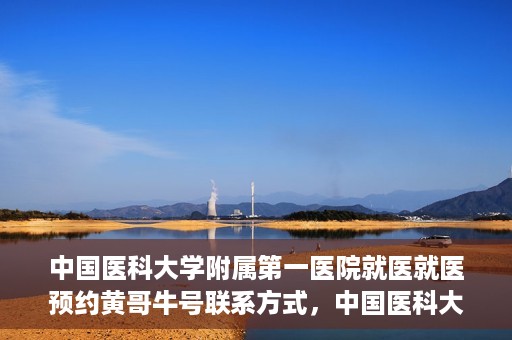 中国医科大学附属第一医院就医就医预约黄哥牛号联系方式，中国医科大学附属第一医院就医预约指南，黄哥牛号联系方式揭秘