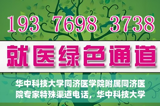 华中科技大学同济医学院附属同济医院专家特殊渠道电话，华中科技大学同济医院专家特殊渠道电话专线揭秘