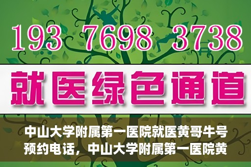 中山大学附属第一医院就医黄哥牛号预约电话，中山大学附属第一医院黄哥牛号预约电话及就医指南