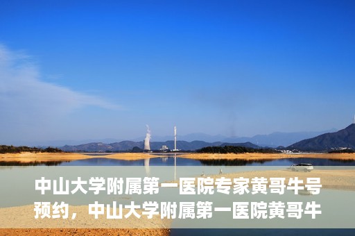 中山大学附属第一医院专家黄哥牛号预约，中山大学附属第一医院黄哥牛专家号预约攻略
