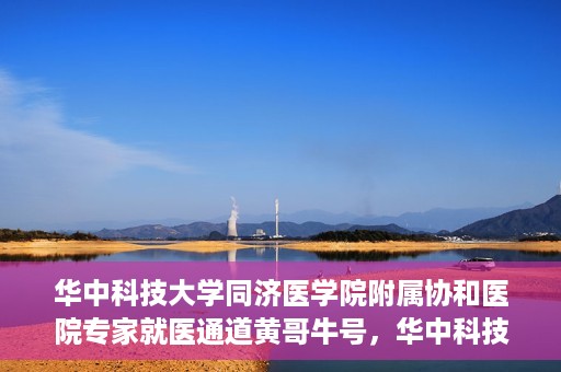 华中科技大学同济医学院附属协和医院专家就医通道黄哥牛号，华中科技大学同济医学院附属协和医院专家就医通道，黄哥牛号专家预约指南