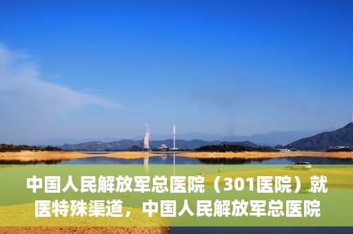中国人民解放军总医院（301医院）就医特殊渠道，中国人民解放军总医院特殊就医渠道解析