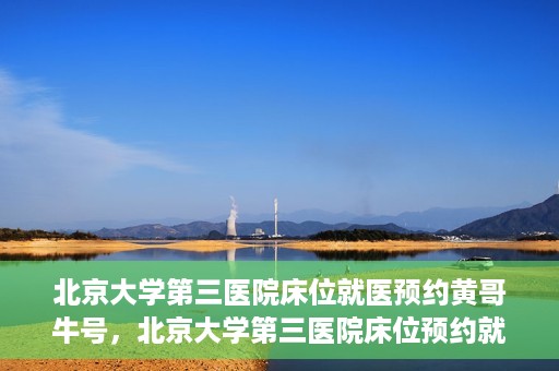 北京大学第三医院床位就医预约黄哥牛号，北京大学第三医院床位预约就医攻略，黄哥牛号助您轻松挂号就医