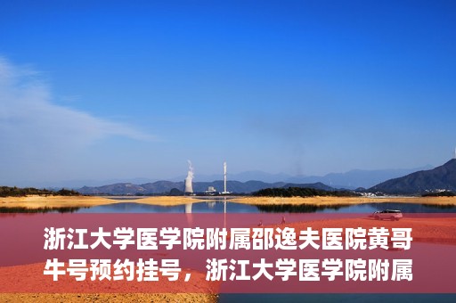 浙江大学医学院附属邵逸夫医院黄哥牛号预约挂号，浙江大学医学院附属邵逸夫医院黄哥名医号预约挂号攻略