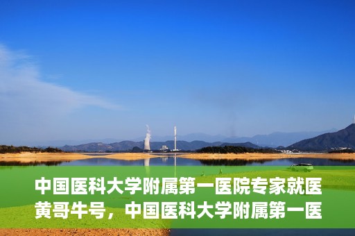 中国医科大学附属第一医院专家就医黄哥牛号，中国医科大学附属第一医院专家黄哥牛号解析就医攻略