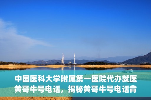 中国医科大学附属第一医院代办就医黄哥牛号电话，揭秘黄哥牛号电话背后的就医代办故事——中国医科大学附属第一医院就医指南与解读