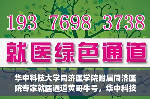 华中科技大学同济医学院附属同济医院专家就医通道黄哥牛号，华中科技大学同济医院专家就医通道，黄哥牛号专家团队专业服务开启