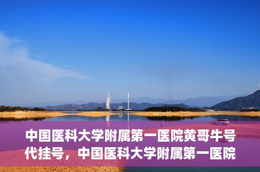 中国医科大学附属第一医院黄哥牛号代挂号，中国医科大学附属第一医院黄哥牛号代挂号服务详解