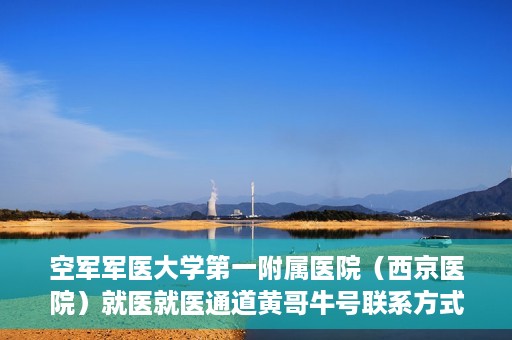 空军军医大学第一附属医院（西京医院）就医就医通道黄哥牛号联系方式，空军军医大学第一附属医院（西京医院）就医通道详解，黄哥牛号联系方式揭秘！