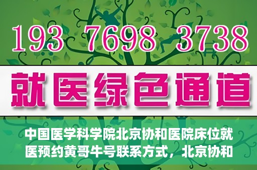 中国医学科学院北京协和医院床位就医预约黄哥牛号联系方式，北京协和医院床位预约就医指南，黄哥牛号联系方式揭秘