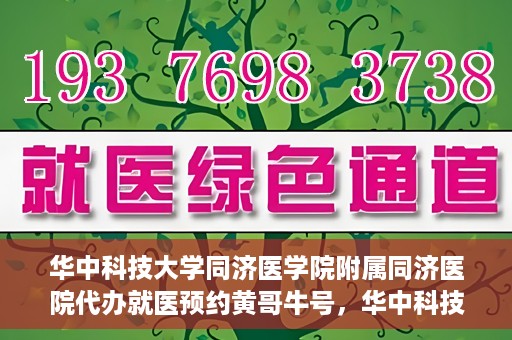 华中科技大学同济医学院附属同济医院代办就医预约黄哥牛号，华中科技大学同济医院黄哥牛号预约代办服务指南