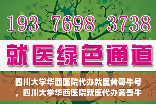 四川大学华西医院代办就医黄哥牛号，四川大学华西医院就医代办黄哥牛号解析，专业医疗服务的背后故事