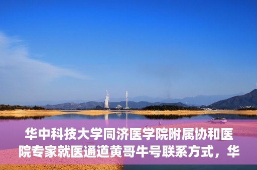 华中科技大学同济医学院附属协和医院专家就医通道黄哥牛号联系方式，华中科技大学同济医学院附属协和医院专家就医通道，黄哥牛号联系方式全解析