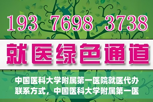 中国医科大学附属第一医院就医代办联系方式，中国医科大学附属第一医院就医代办服务联系方式及流程解析