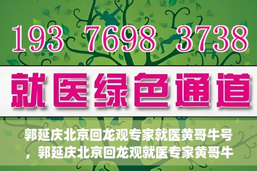 郭延庆北京回龙观专家就医黄哥牛号，郭延庆北京回龙观就医专家黄哥牛号揭秘，专业医术与人文关怀的双重优势