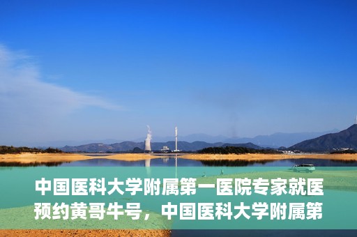 中国医科大学附属第一医院专家就医预约黄哥牛号，中国医科大学附属第一医院专家黄哥牛号预约就医攻略