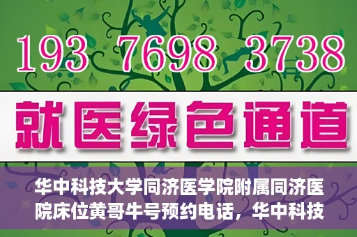 华中科技大学同济医学院附属同济医院床位黄哥牛号预约电话，华中科技大学同济医院床位预约及黄哥牛号咨询热线