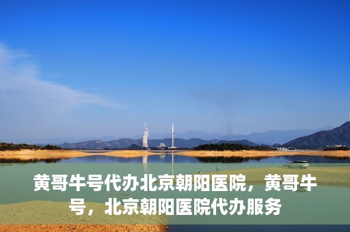 黄哥牛号代办北京朝阳医院，黄哥牛号，北京朝阳医院代办服务