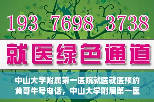 中山大学附属第一医院就医就医预约黄哥牛号电话，中山大学附属第一医院就医预约指南，黄哥牛号电话直达服务