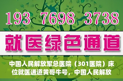 中国人民解放军总医院（301医院）床位就医通道黄哥牛号，中国人民解放军总医院（301医院）床位就医通道详解，黄哥牛号助您快速就医！