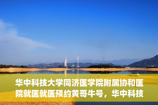 华中科技大学同济医学院附属协和医院就医就医预约黄哥牛号，华中科技大学同济医学院附属协和医院就医预约攻略，黄哥牛号助您轻松挂号就医