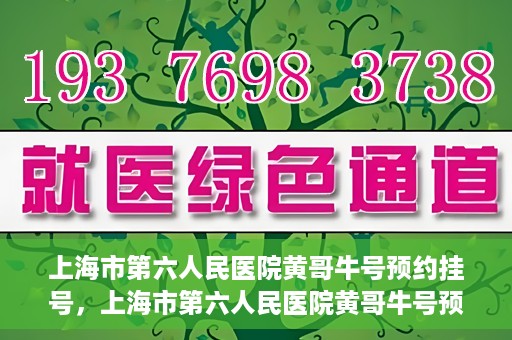上海市第六人民医院黄哥牛号预约挂号，上海市第六人民医院黄哥牛号预约挂号攻略，轻松挂号，便捷就医体验