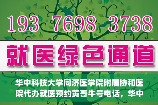 华中科技大学同济医学院附属协和医院代办就医预约黄哥牛号电话，华中科技大学同济医学院附属协和医院预约就医黄哥牛电话服务介绍
