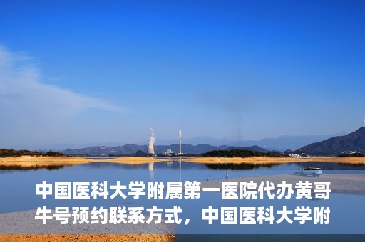 中国医科大学附属第一医院代办黄哥牛号预约联系方式，中国医科大学附属第一医院预约挂号联系方式，黄哥牛号预约服务解析
