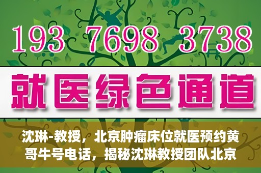 沈琳-教授，北京肿瘤床位就医预约黄哥牛号电话，揭秘沈琳教授团队北京肿瘤床位预约背后的故事，黄哥牛号电话就医攻略