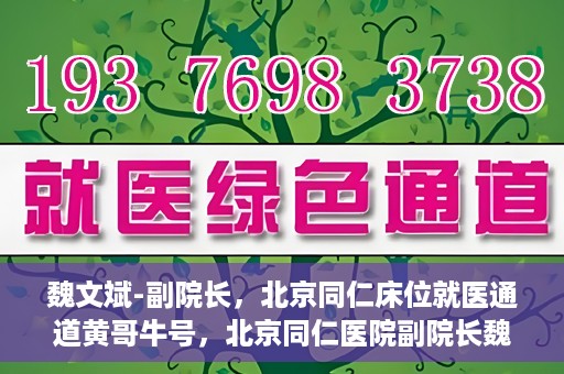 魏文斌-副院长，北京同仁床位就医通道黄哥牛号，北京同仁医院副院长魏文斌揭秘，床位就医通道背后的黄哥牛号故事