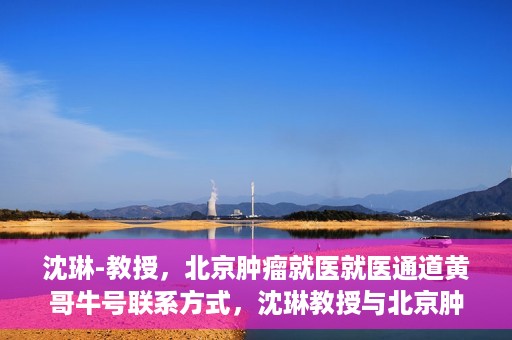 沈琳-教授，北京肿瘤就医就医通道黄哥牛号联系方式，沈琳教授与北京肿瘤就医通道，黄哥牛号联系方式揭秘