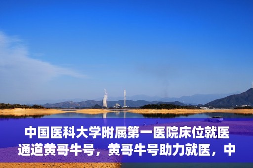 中国医科大学附属第一医院床位就医通道黄哥牛号，黄哥牛号助力就医，中国医科大学附属第一医院床位就医通道解析