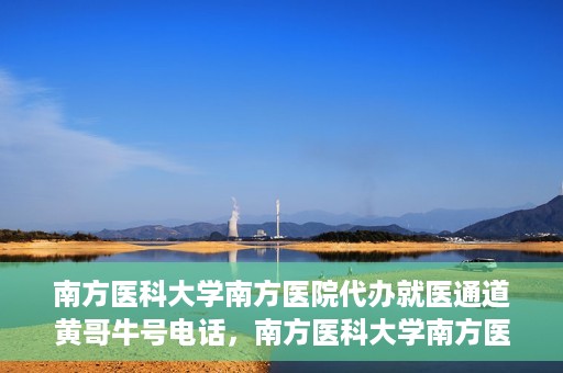 南方医科大学南方医院代办就医通道黄哥牛号电话，南方医科大学南方医院就医通道代办服务揭秘，黄哥牛号电话背后的故事
