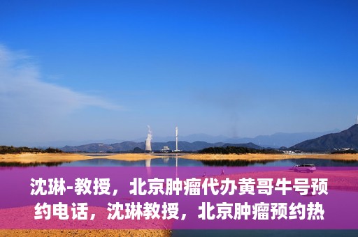 沈琳-教授，北京肿瘤代办黄哥牛号预约电话，沈琳教授，北京肿瘤预约热线解读及黄哥牛号预约电话揭秘