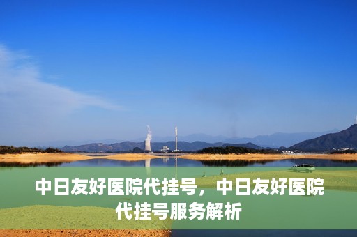 中日友好医院代挂号，中日友好医院代挂号服务解析