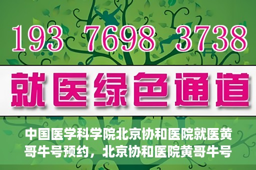 中国医学科学院北京协和医院就医黄哥牛号预约，北京协和医院黄哥牛号预约攻略，就医指南与医学权威体验