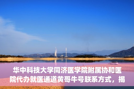 华中科技大学同济医学院附属协和医院代办就医通道黄哥牛号联系方式，揭秘华中科技大学同济医学院附属协和医院代办就医通道，黄哥牛号联系方式及操作内幕揭秘