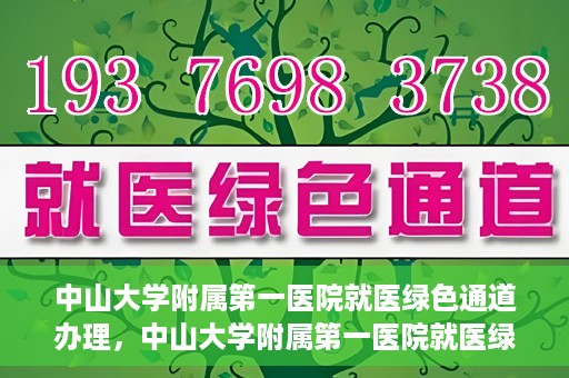 中山大学附属第一医院就医绿色通道办理，中山大学附属第一医院就医绿色通道办理详解，一站式解决您的就医难题