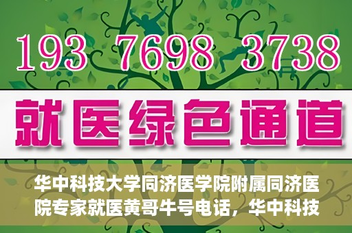 华中科技大学同济医学院附属同济医院专家就医黄哥牛号电话，华中科技大学同济医院专家黄哥牛号电话就医指南