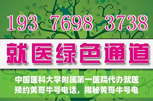 中国医科大学附属第一医院代办就医预约黄哥牛号电话，揭秘黄哥牛号电话，中国医科大学附属第一医院预约就医代办服务详解