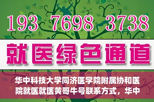 华中科技大学同济医学院附属协和医院就医就医黄哥牛号联系方式，华中科技大学同济医学院附属协和医院就医指南，黄哥牛号联系方式揭秘