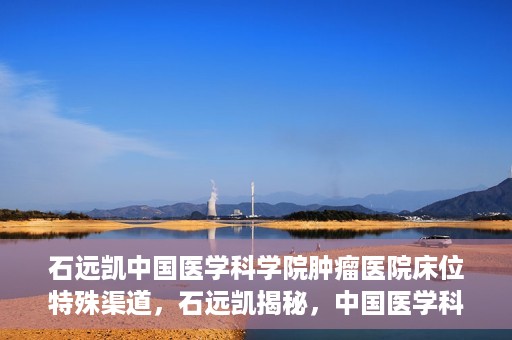 石远凯中国医学科学院肿瘤医院床位特殊渠道，石远凯揭秘，中国医学科学院肿瘤医院床位特殊渠道揭秘