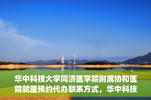 华中科技大学同济医学院附属协和医院就医预约代办联系方式，华中科技大学同济医学院附属协和医院就医预约代办服务联系方式解析