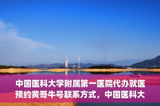 中国医科大学附属第一医院代办就医预约黄哥牛号联系方式，中国医科大学附属第一医院预约就医代办服务，黄哥牛号联系方式及预约指南