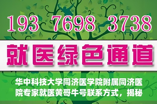 华中科技大学同济医学院附属同济医院专家就医黄哥牛号联系方式，揭秘黄哥牛号背后的专家，华中科技大学同济医院同济医院专家就医攻略与联系方式揭秘