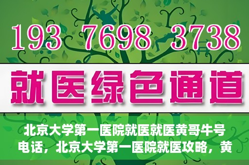 北京大学第一医院就医就医黄哥牛号电话，北京大学第一医院就医攻略，黄哥牛号电话一键预约挂号服务