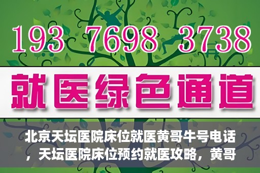 北京天坛医院床位就医黄哥牛号电话，天坛医院床位预约就医攻略，黄哥牛号电话全解析