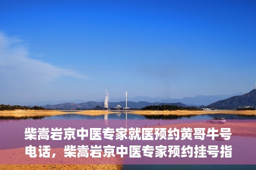柴嵩岩京中医专家就医预约黄哥牛号电话，柴嵩岩京中医专家预约挂号指南，快速就医通道揭秘，黄哥牛号电话一键预约！