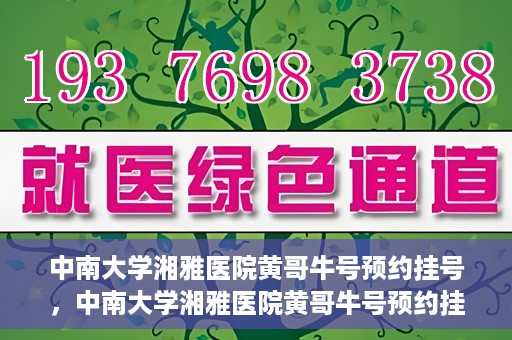 中南大学湘雅医院黄哥牛号预约挂号，中南大学湘雅医院黄哥牛号预约挂号攻略，轻松挂号，无忧就医体验